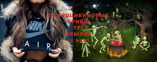 твердый Вязьма